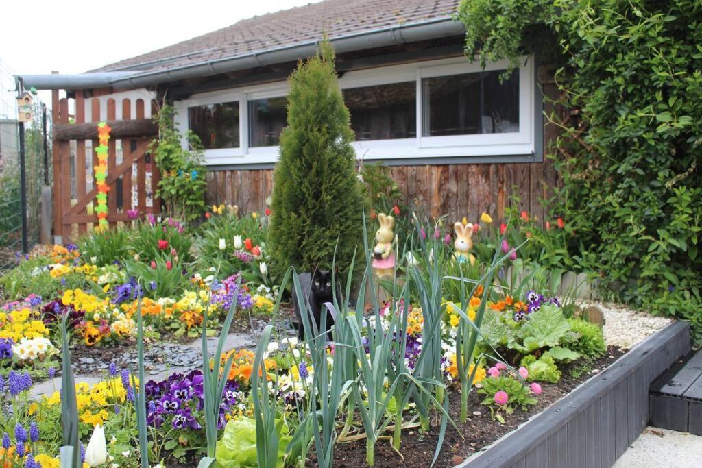 Maisonnette Bindernheim Luaran gambar