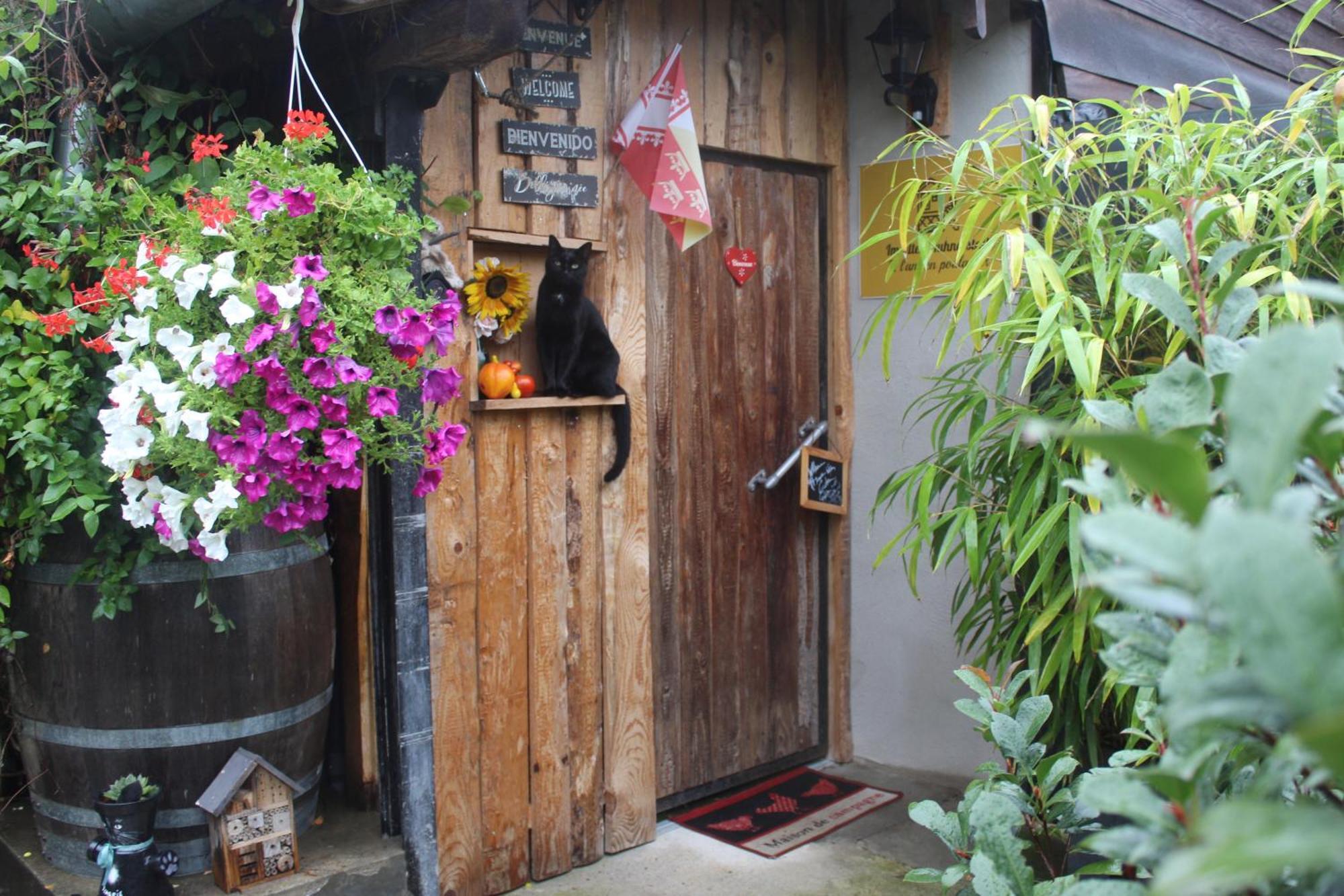 Maisonnette Bindernheim Luaran gambar